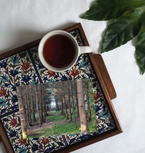 Load image into Gallery viewer, A walk in the woods