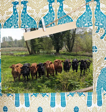 Load image into Gallery viewer, Can we help you?