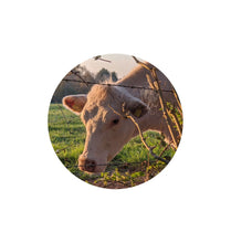 Load image into Gallery viewer, White All natural fertilizer from me sticker