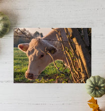 Load image into Gallery viewer, All natural fertilizer from me