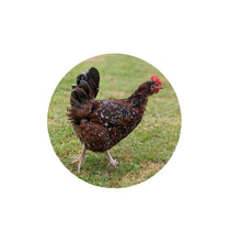 Load image into Gallery viewer, White Happy Hems