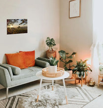 Load image into Gallery viewer, Good Morning World